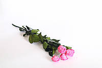 Стабілізована кущова рожева троянда 2-3 см, 5 шт