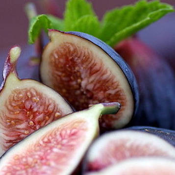 Саджанці інжиру Цукровий Селеста (Fícus cárica Celeste) - самоплідний, ремонтантний 3-х річний