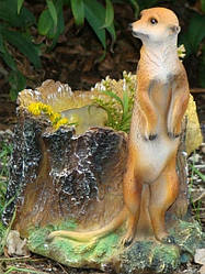 Садові фігури сурикати