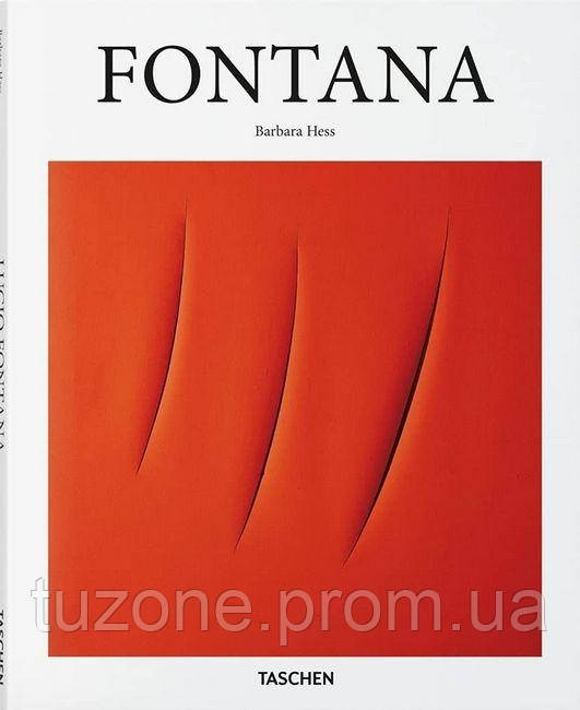 Fontana (Basic Art Series 2.0), фото 1