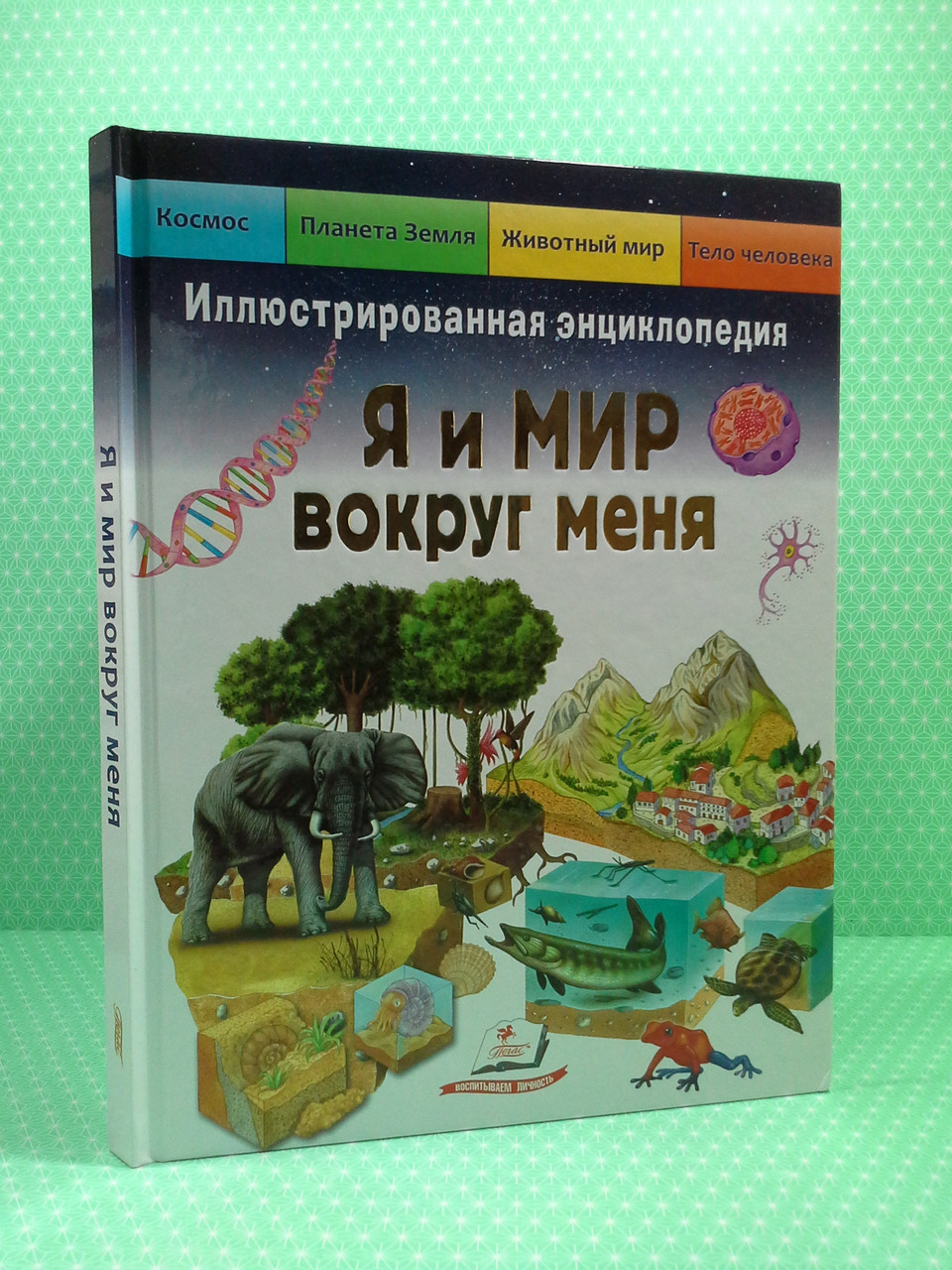 Я и мир вокруг меня. Иллюстрированная энциклопедия. Элеонора Барзотти, Пегас - фото 1 - id-p1443573835