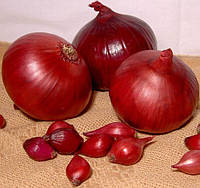 Озимый лук севок Ред Барон мешок ( до 10 кг ) фракция 8/16 Triumfus Onion Products