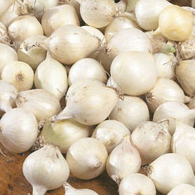 Озима цибуля севок Гледстоун 500 г фракція 10/21 Triumfus Onion Products