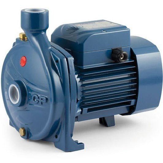 Відцентровий насос Pedrollo CP 250A-N, фото 1