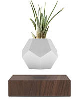 Левитирующий вазон (горшок) Flyte Planter (Орех)