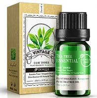 Эфирное масло чайного дерева BioAqua Vintage Tea Tree Oil, 10 мл