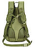 Рюкзак тактичний Eagle M08G 20 л Green, фото 3