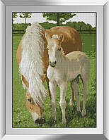 31263 Лошадь с жеребенком. Dream Art. Набор алмазной живописи (квадратные, полная)