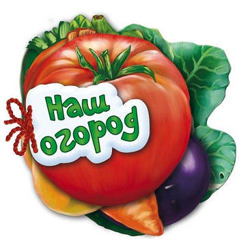 Книга Відгадай-но: Наш город (р) М248004Р G-Rich