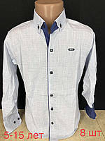 Рубашка подростковая Paul Semih на мальчика 5-15 лет (2цв) "EMRE" купить недорого от прямого поставщика