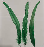 Перо півня Натуральне цвіт Зелений 20-30 см, фото 7