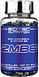 Комплекс Цинк, магній з вітаміном В6 (ZMA) Scitec Nutrition ZMB6 60caps, фото 3