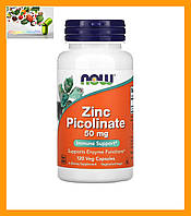 Пиколинат цинка, Now Foods, Zinc Picolinate, 50 мг, 120 растительных капсул