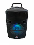 Колонка портативна акустична Kimiso QS-602 з мікрофоном, фото 2