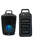 Колонка портативна акустична Kimiso QS-602 з мікрофоном, фото 4
