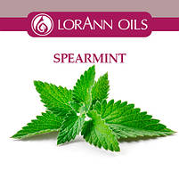 Ароматизатор LorAnn (OS) Spearmint (М'ята), фото 3