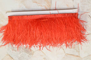 Тасьма Страусяне пір'я