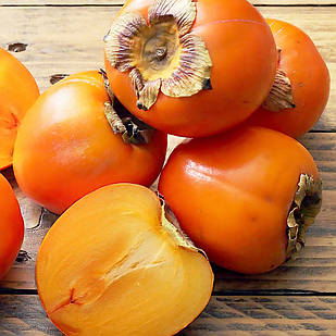 Хурма Шарон - самоплідна, рання, морозостійка С1