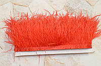 Перьевая тесьма со страусиного перья 10 см (за 10 см). Цвет - красный