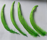 Перо півня натуральне Колір Салатовий 20-30 см, фото 3