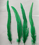 Перо півня Натуральне цвіт Зелений 20-30 см, фото 2