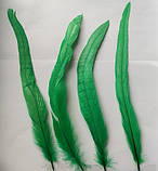 Перо півня Натуральне цвіт Зелений 20-30 см, фото 4