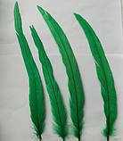 Перо півня Натуральне цвіт Зелений 20-30 см, фото 5