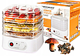 Сушарка для овочів і фруктів Esperanza EKD004 (250Вт, 4 секцій, Польща), фото 2
