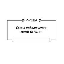 Лампа світлодіодна трубчата GP-10 10W G13 6500K скло (діаметр 26 мм, довжина 600 мм, аналог люмінесцентної лампи 18Вт) (19-0006), фото 2