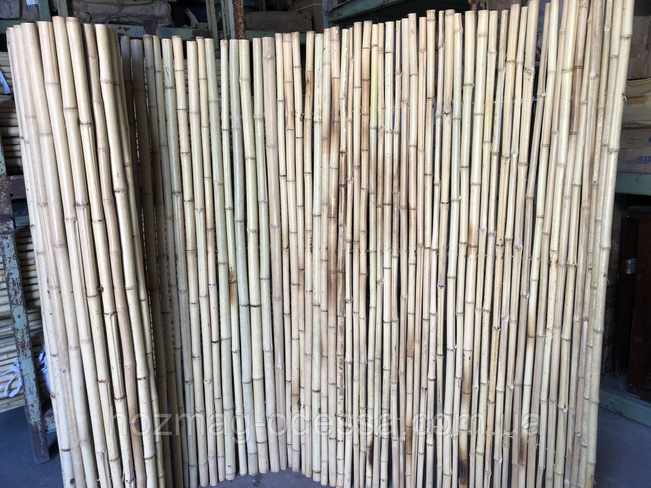 Паркан бамбуковий  2,0 м *3,0 м.
