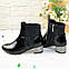 Черевики жіночі на маленькому підборах, колір чорний, фото 2