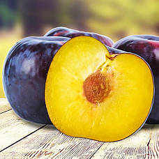 Саджанці Сливи диплоїдної