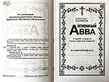 Вогненний Авва. Про долю і подвиги старця Сампсона (Сіверса). Олександр Поляков, фото 4