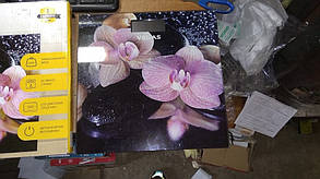 Не боязкой Ваги підлогові Vegas VFS-3148FS No 21090611, фото 2