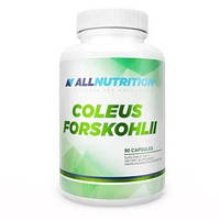 Allnutrition Coleus Forskohlii Extract жироспалювач для схуднення 200 мг зокрема форсколіну 20 мг, 90 капсул