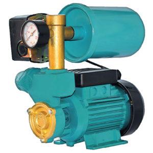 Насосна станція Euroaqua WZ250/2L, фото 1