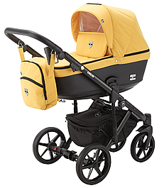 Дитячі коляски 2 в 1 Adamex Emilio