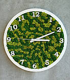 Круглий настінний годинник з мохом. від 25 см, фото 4