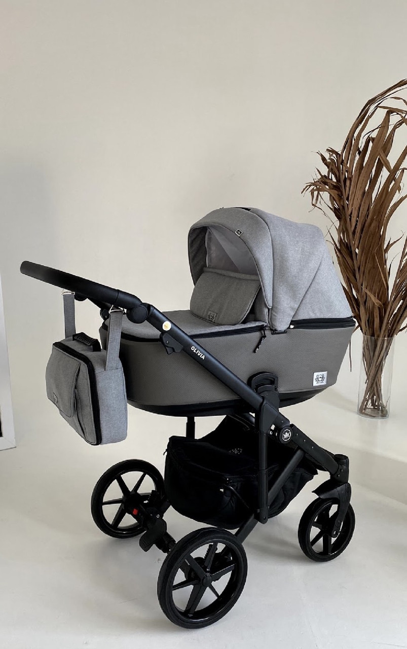 Дитяча коляска 2 в 1 Adamex Olivia BR-260, фото 1