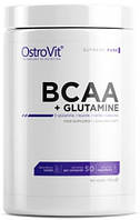 Амінокислоти OstroVit — BCAA + L-Glutamine (500 грамів) pure/ без добавок