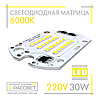 Світлодіодна матриця 30Вт 220В для світодіодного LED прожектори DOB 30W 220V 6000К, фото 3