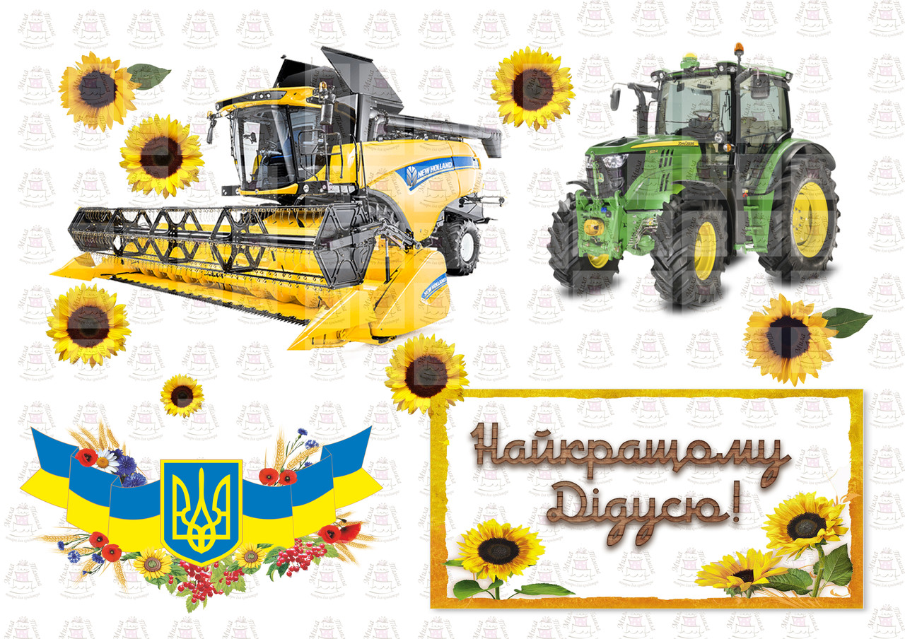 Вафельна картинка Найкращому дідусю