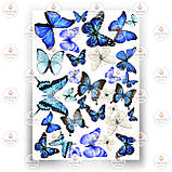 Друк їстівного фото — Метелики No11, фото 9