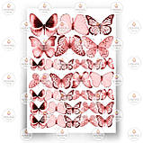 Друк їстівного фото — Метелики No11, фото 4