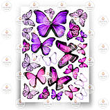 Друк їстівного фото — Метелики No11, фото 7