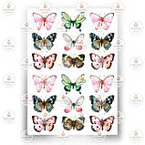 Друк їстівного фото — Метелики No16, фото 6