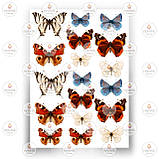 Друк їстівного фото — Метелики No11, фото 5