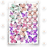 Друк їстівного фото — Метелики No11, фото 8