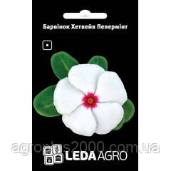 Насіння Катарантус (Барвінок) Хетвейв F1 Пепермінт 10 насіння Hem Genetics LedaAgro