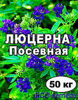 Семена Люцерна магниченная, мешок 50 кг